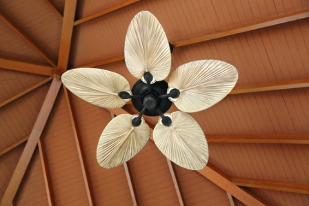 ceiling fans yuma arizona