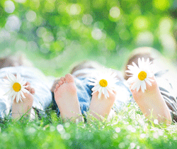 Celebrate Spring With Better Indoor Air Quality: 9 Tips to Get Started