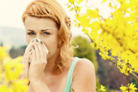 What’s the Best Line of Defense Against Allergies?