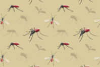 Keeping Mosquitoes Away: HVAC System Tips and Tricks