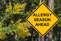 How to Combat Fall Allergens 