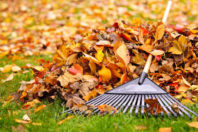 Keeping Your Outdoor HVAC Unit Safe During Yard Maintenance