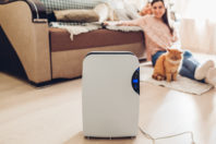 Whole Home vs. Room Air Purifiers: What’s Best?