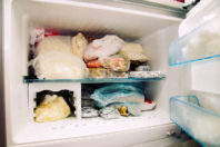 Is a Garage Fridge Freezer Combo a Good Idea for Summer?