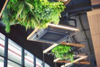 What Having a Green HVAC System Can Do For Your Home