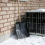 How Likely Is It for Your HVAC to Overheat This Winter?